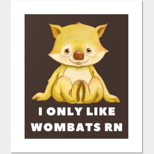 I Only Like Wombats Right Now Posters and Art